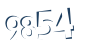 Input this protected code