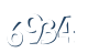 Input this protected code