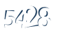 Input this protected code