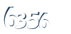 Input this protected code