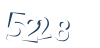 Input this protected code