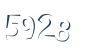 Input this protected code