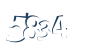 Input this protected code