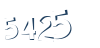 Input this protected code