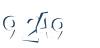 Input this protected code