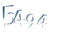 Input this protected code